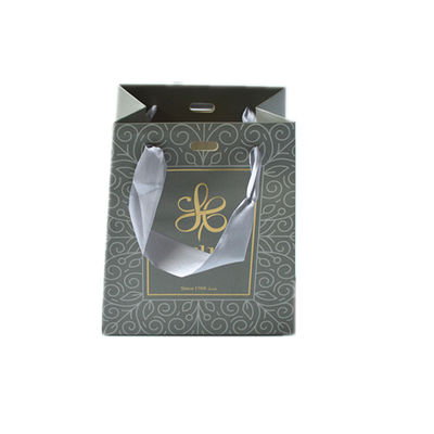 Silver Coated Pearl Paper Jewelry Gift Bags Hot Stamping Logo With Ribbon Handles